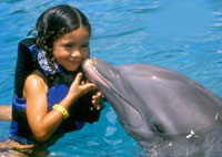 Swim with Dolphins Playa del Carmen