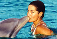Royal Dolphin Swim
