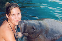 Playa del Carmen Manatees