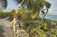 Beach Horseback Riding Tour