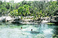 Cenote Swimming