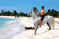 Beach Horseback Riding Tour