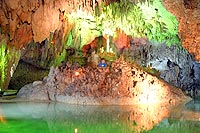 Cenotes Playa del Carmen tour