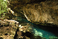 Playa del Carmen Cenote Tour