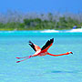 Playa del Carmen Eco Tours