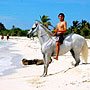 Horseback Riding Tours