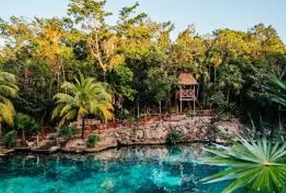 Casa Tortuga cenotes jungle experience