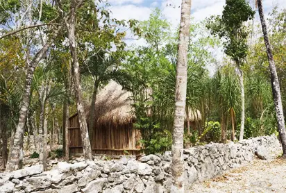Coba Express Tour - Playa del Carmen