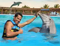 Swimming with Dolphins Playa del Carmen