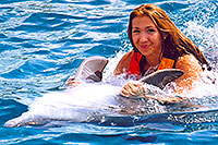 Swimming with Dolphins Playa del Carmen