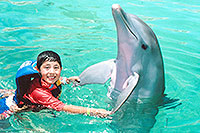 Playa del Carmen Swim With Dolphins