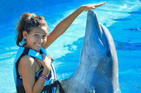 Swim with Dolphins Playa del Carmen