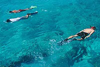 Playa del Carmen Snorkeling