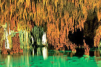 Cenotes of Aktun Chen