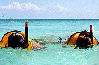 Snorkeling Tour Playa del Carmen