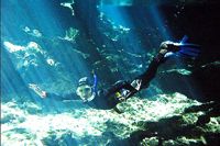 Dos Ojos Cenote Snorkeling Tour
