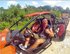 Dune Buggy & Cenote Tour