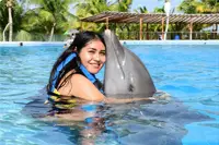 Hug Dolphins in Playa del Carmen