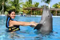 Dolphin Fin Shake - Playa del Carmen Dolphins