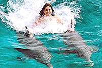 Dorsal Tow - Playa del Carmen Dolphins