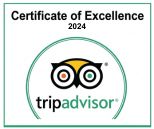 Playa del Carmen Tours